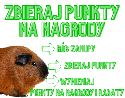 Program lojalnościowy