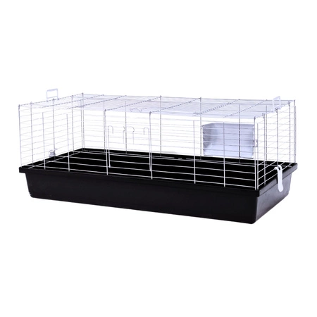 Wyposażenie dla świnki morskiej –– jak wybrać idealny dom dla swojego pupila?