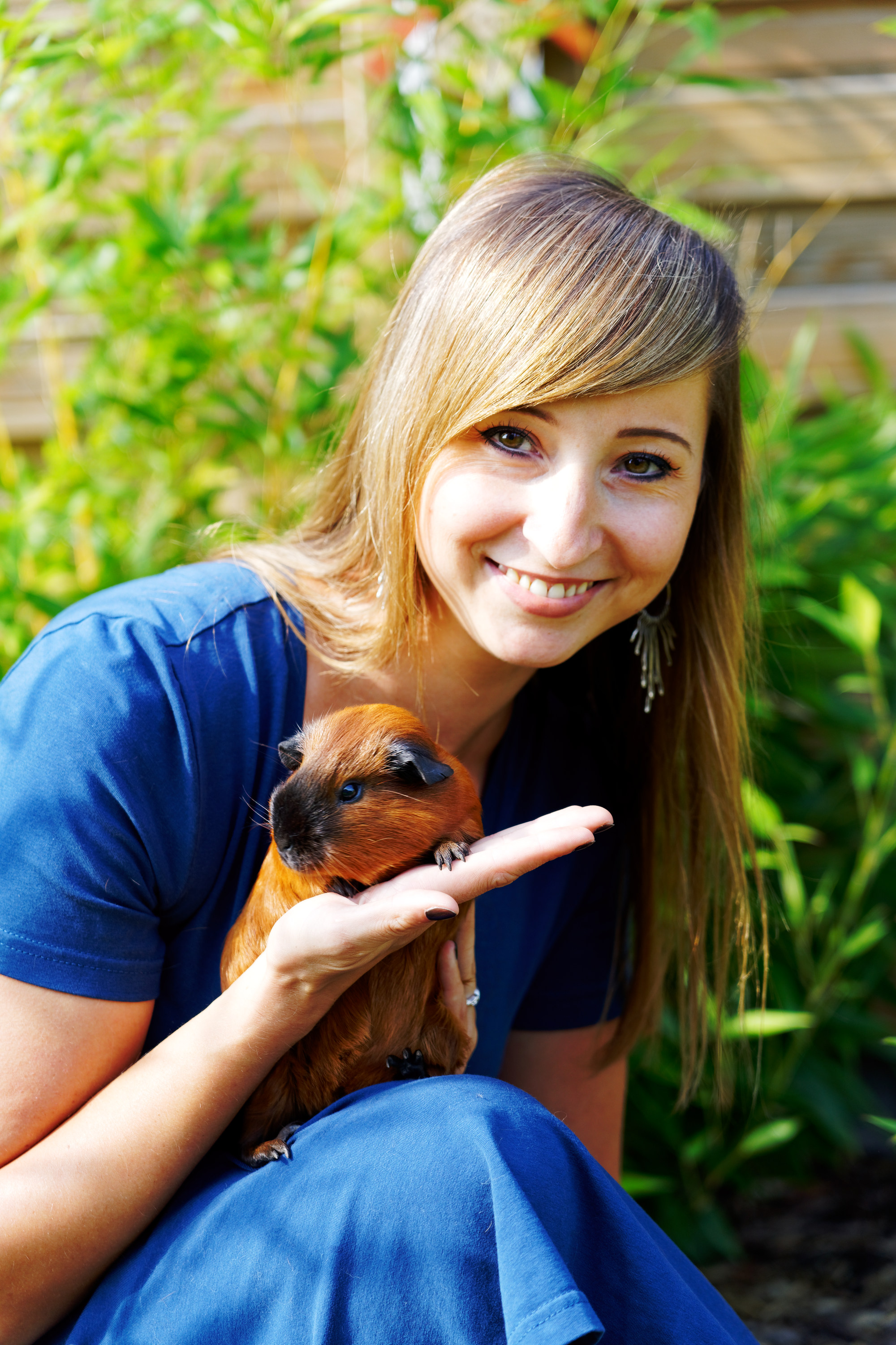 Bezpieczny wybieg dla świnki morskiej na dworze: poradnik dla opiekunów