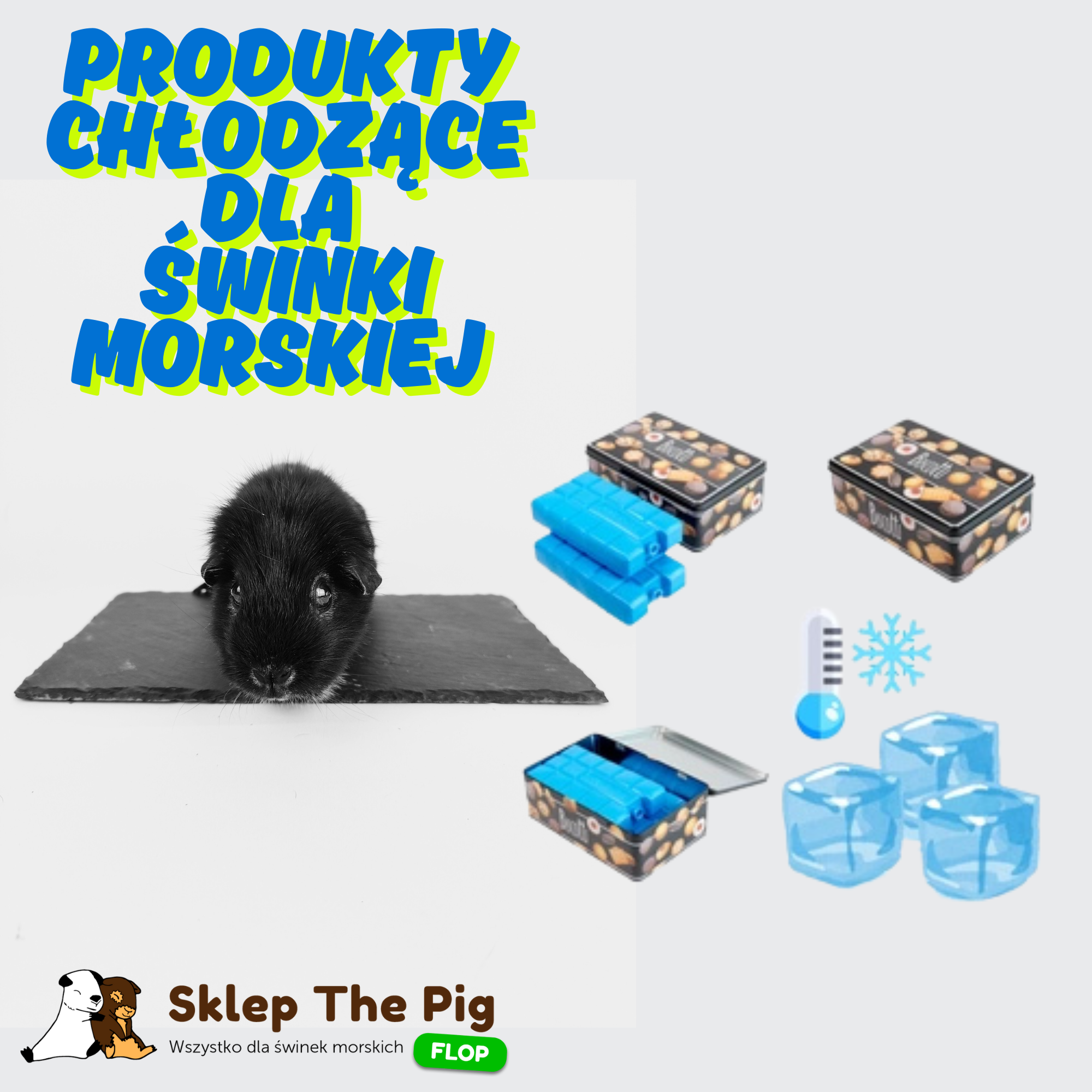 Produkty do bezpiecznego schłodzenia świnki morskiej w upalne dni.